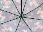 Зонт  женский Zicco, арт.2240_product